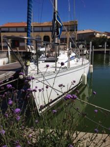 Φυσικό τοπίο κοντά σε αυτό το πλωτό κατάλυμα