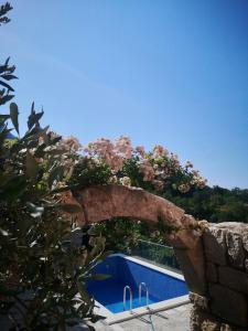 une piscine bleue avec un arbre en fleurs au-dessus dans l'établissement Villa Toni, à Tučepi 32 autres photos