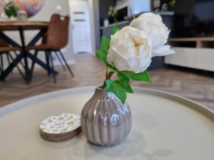 Et tv og/eller underholdning på New and spacious lodge at the Veluwe