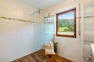 a bathroom with a shower and a window at Hof Helmenhube 2 in Gammelsbach +18 photos