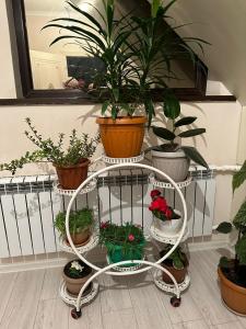 Fotografie z fotogalerie ubytování GULMIRA guest house v destinaci Kazarman