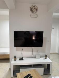 TV a/nebo společenská místnost v ubytování S&M Igalo