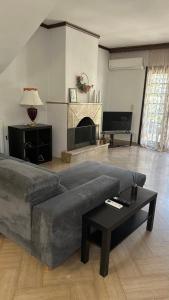 a living room with a couch and a fireplace at Greek Mansion in Nea Moudania