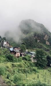 a group of houses on a hill with a mountain at Sunlight Homestay Mohana in Chakrāta +26 photos