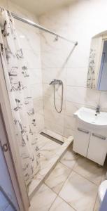 a bathroom with a shower and a sink at Smart House on Mashynobudivna in Kyiv