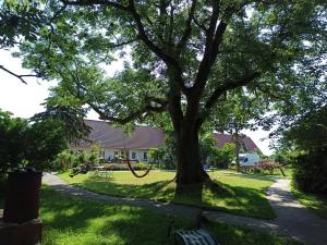 ドランスケにあるFerienhof Nonnevitzer Strandの公園の木の下に自転車が停まっている