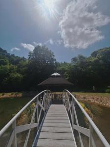 a wooden bridge with an umbrella on top of the water at Domek w Dolinie Sanu in Witryłów +40 photos