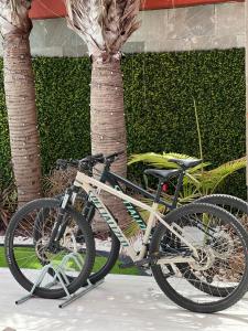 una bicicleta está estacionada junto a una palmera en VILLA Cooper l HEATED Pool l PVT Garden I GOLF I SEA VIEWS, en San Bartolomé