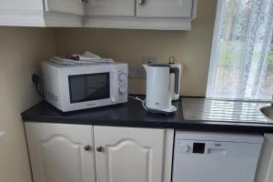 a kitchen counter with a microwave and a blender at 1 Bed retreat-Sleeps 2-Secure parking-Garden in Ennis