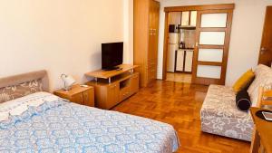 a bedroom with a bed and a television on a wooden cabinet at Budva Summer House in Budva +10 photos