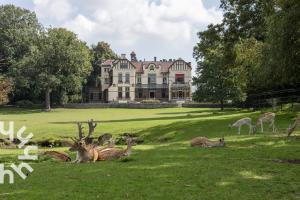 a group of deer laying in the grass in front of a house at OV517 - 6 persons holiday home De Kersenboomhoeve in Zuidveen
