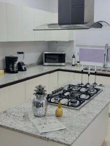 Kuchyň nebo kuchyňský kout v ubytování Apartment Hidalgo
