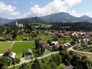 una vista aerea di un piccolo villaggio in montagna di Savinja River Residence a Ljubno
