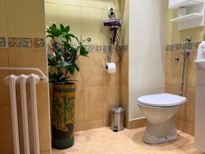 Koupelna v ubytování R&R apartment Medak 3