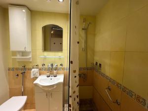 Koupelna v ubytování R&R apartment Medak 3