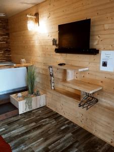 a room with a wooden wall with a flat screen tv at L'Idylle Moment de Détente in Nay
