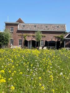 a field of flowers in front of a building at De Windpeluw - Daar bij die Kempermolen - Achterhoek in Breedenbroek
