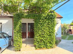 a building covered in green ivy next to a car at El Sol Apartmani in Bar