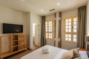 Un dormitorio con una cama y un televisor de pantalla plana. en iloftmalaga Pasaje Chinitas, en Málaga