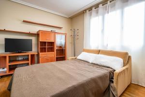 ein Wohnzimmer mit einem Bett und einem Fernseher in der Unterkunft Apartamento Avenida del Mar in Oviedo