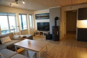 Μια τηλεόραση ή/και κέντρο ψυχαγωγίας στο Private apartment near Voss resort