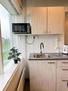 a kitchen with a sink and a microwave at Eiðar - Hostel in Egilsstaðir