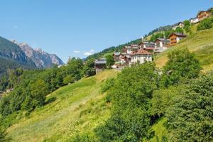 a village on a hill with houses on it at Appartamenti I Profumi del Bosco in San Pietro di Cadore