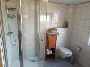 a bathroom with a shower and a toilet at Huus van Dykster 45262 in Dyksterhusen +10 photos