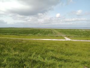 an empty field with green grass and a dirt road at Huus van Dykster 45262 in Dyksterhusen