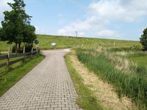 a cobblestone road in the middle of a field at Huus van Dykster 45262 in Dyksterhusen +10 photos