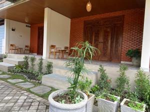 Desa Hostel外面的花园