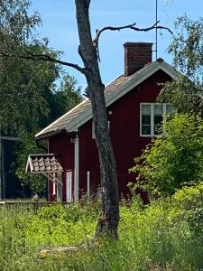 VittingeElsas koja的前面有一棵树的红色房子