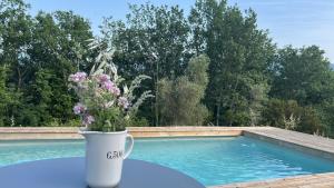 a vase of flowers sitting on a table next to a swimming pool at Ca di Rosa in Aulla