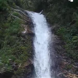 a waterfall in the middle of a forest at Krishan Home Stay in Gushaini