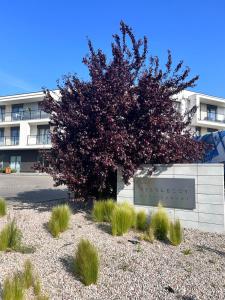 Budynek, w którym mieści się apartament