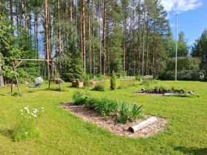 a garden with some plants in the grass at Ahopelto in Savonlinna