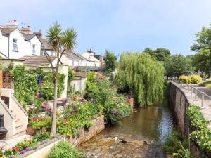 Příroda nedaleko prázdninového domu