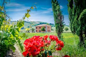 uma casa num campo com flores vermelhas em Agriturismo Agrimare Barba em Pineto