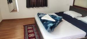 Afbeelding uit fotogalerij van Palms View Villa in Mount Ābu +34 foto's