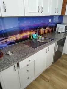 una cocina con fregadero y encimera en Apartmani Prestige, en Baška Voda