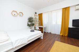 VăleniにあるBlue Sky Apartmentのベッドと机とテレビのある寝室