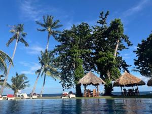 a swimming pool with palm trees and a beach at Luxuary 1 Bedroom Apartment Pool and Sea view in Dauin in Dauin