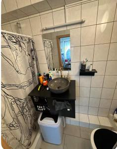 Ένα μπάνιο στο Cozy Room in Central Raunheim