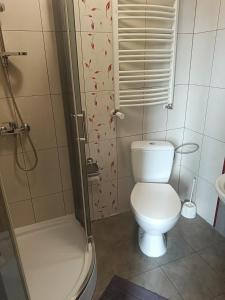 un baño con inodoro y ducha en Willowe Zacisze, en Polanica-Zdrój