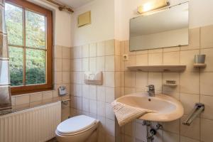 a bathroom with a sink and a toilet and a mirror at Ferienwohnung Achraintal 1 in Lindau