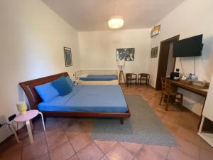 una camera da letto con un letto, una scrivania e una TV di Teseo a Ca Vecchia