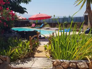 a swimming pool with a red umbrella and some plants at Le Maquis in Alata
