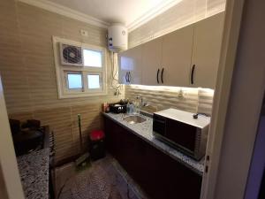 a small kitchen with a sink and a microwave at Modern City Apartment in Cairo
