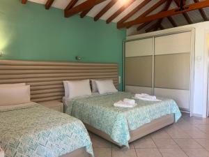 a bedroom with two beds and a mirror at Maniatis Garden in Achladies