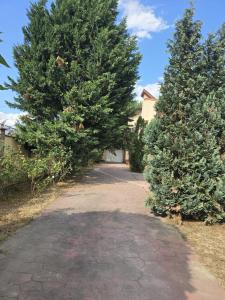 Fotografie z fotogalerie ubytování Vila Raisa v destinaci Văleni